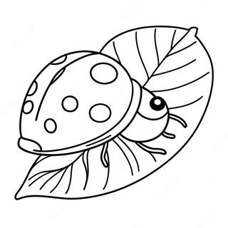 Ladybug Coloring Pages