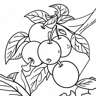 Apple Tree With Ripe Apples Coloring Page 18255 3998