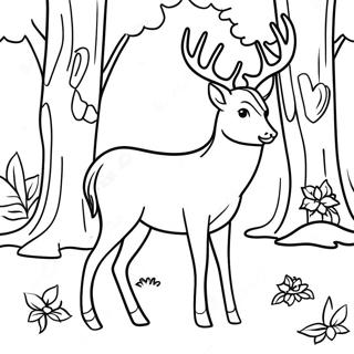 Deer Coloring Pages