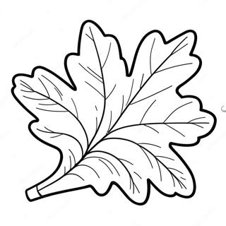 Simple Oak Leaf Coloring Page 26337 5749
