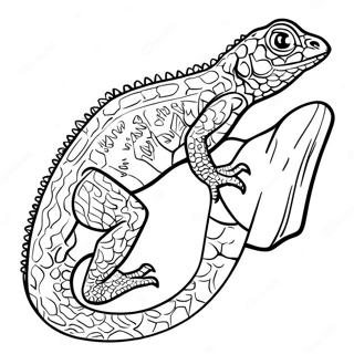 Realistic Green Lizard Coloring Page 27194-5923