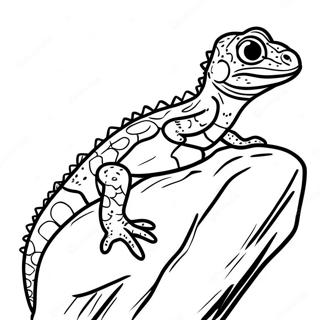 Spotted Lizard On A Rock Coloring Page 27196-5929