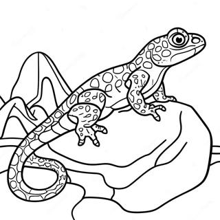 Spotted Lizard On A Rock Coloring Page 27196-5931