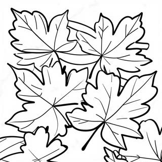 Vibrant Maple Leaves Coloring Page 31375 6843