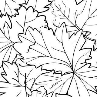 Vibrant Maple Leaves Coloring Page 31375 6844