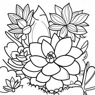 Colorful Succulent Garden Coloring Page 32373-7054