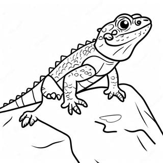 Colorful Bearded Dragon Climbing A Rock Coloring Page 48614-10629