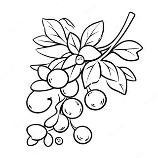 Mistletoe Coloring Pages