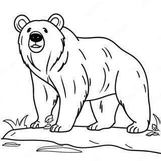 Majestic Grizzly Bear Coloring Page 59956-13141