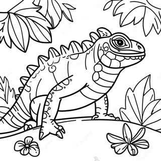 Iguana Coloring Pages