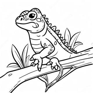 Cartoon Iguana On A Branch Coloring Page 63699-14130