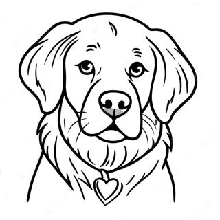 Golden Retriever Coloring Pages