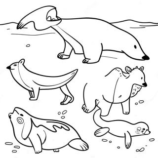 Arctic Animals Coloring Pages