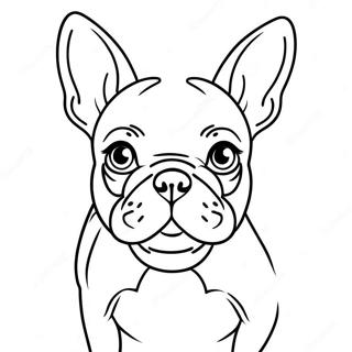 French Bulldog Coloring Pages