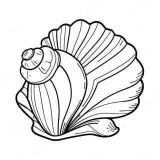 Seashell Coloring Page 74137-17507