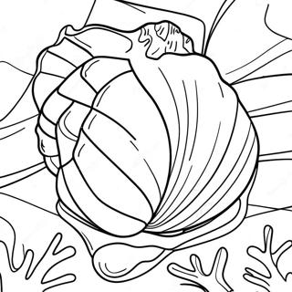 Seashell Coloring Page 74137-17508