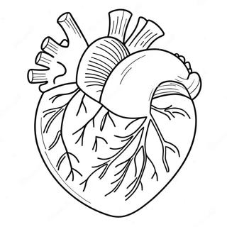Cartoon Heart Anatomy Coloring Page 76809-19603