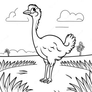 Ostrich On The Open Field Coloring Page 80442 22385