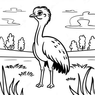 Ostrich On The Open Field Coloring Page 80442 22388