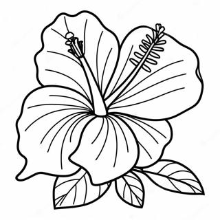 Hibiscus Flower Coloring Page 83393-24702