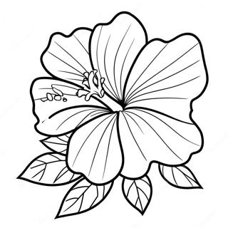 Hibiscus Flower Coloring Page 83393-24706