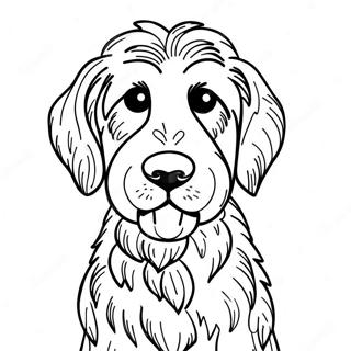 Goldendoodle Coloring Pages