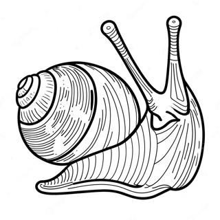 Snail Coloring Pages