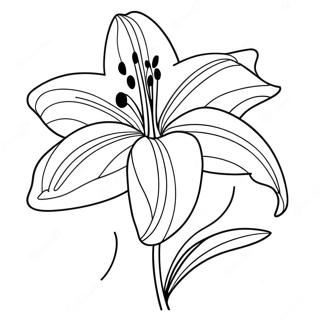 Elegant Lily Flower In Bloom Coloring Page 87313-27850