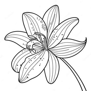 Elegant Lily Flower In Bloom Coloring Page 87313-27851