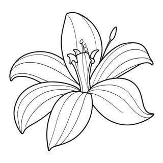Elegant Lily Flower In Bloom Coloring Page 87313-27852