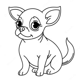 Chihuahua Coloring Pages