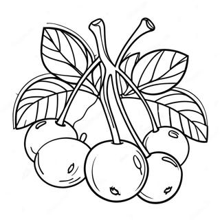 Cherries Coloring Pages