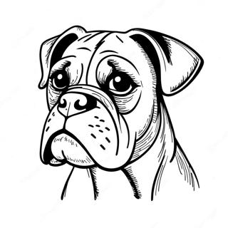 Boxer Dog Coloring Page 89703-29873