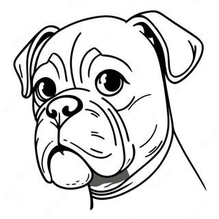 Boxer Dog Coloring Page 89703-29874