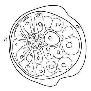 Plant Cell Coloring Pages