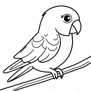 Parakeet Coloring Page 92479-32101