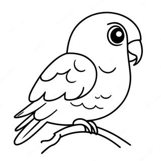 Parakeet Coloring Page 92479-32102