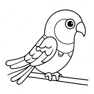 Parakeet Coloring Page 92479-32103