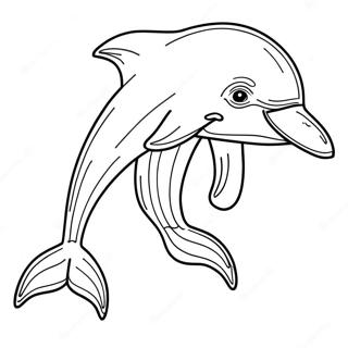 Realistic Dolphin Coloring Pages