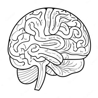 Creative Brain Activity Coloring Page 94307 33525