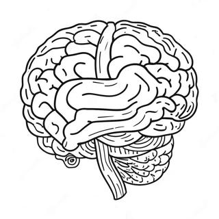 Creative Brain Activity Coloring Page 94307 33597