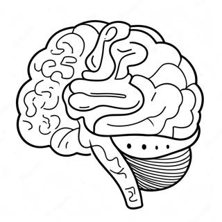 Creative Brain Activity Coloring Page 94307 33600