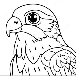 Peregrine Falcon Coloring Pages