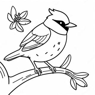 Orioles Coloring Page 99393-38013