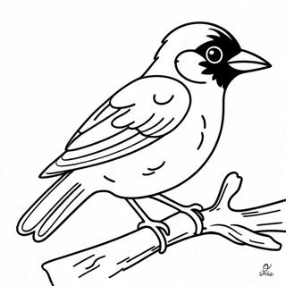 Orioles Coloring Page 99393-38015