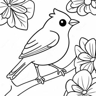 Orioles Coloring Page 99393-38016