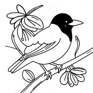 Orioles Coloring Page 99393-38205