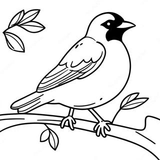 Orioles Coloring Page 99393-38206